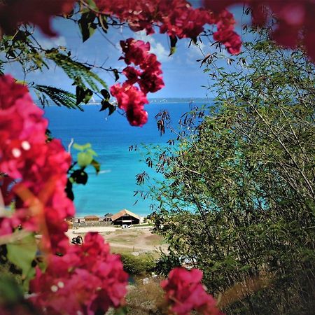 Marquis Boutique Hotel Anse Marcel المظهر الخارجي الصورة